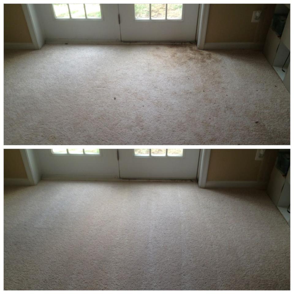 Gainesville Carpet Cleaning